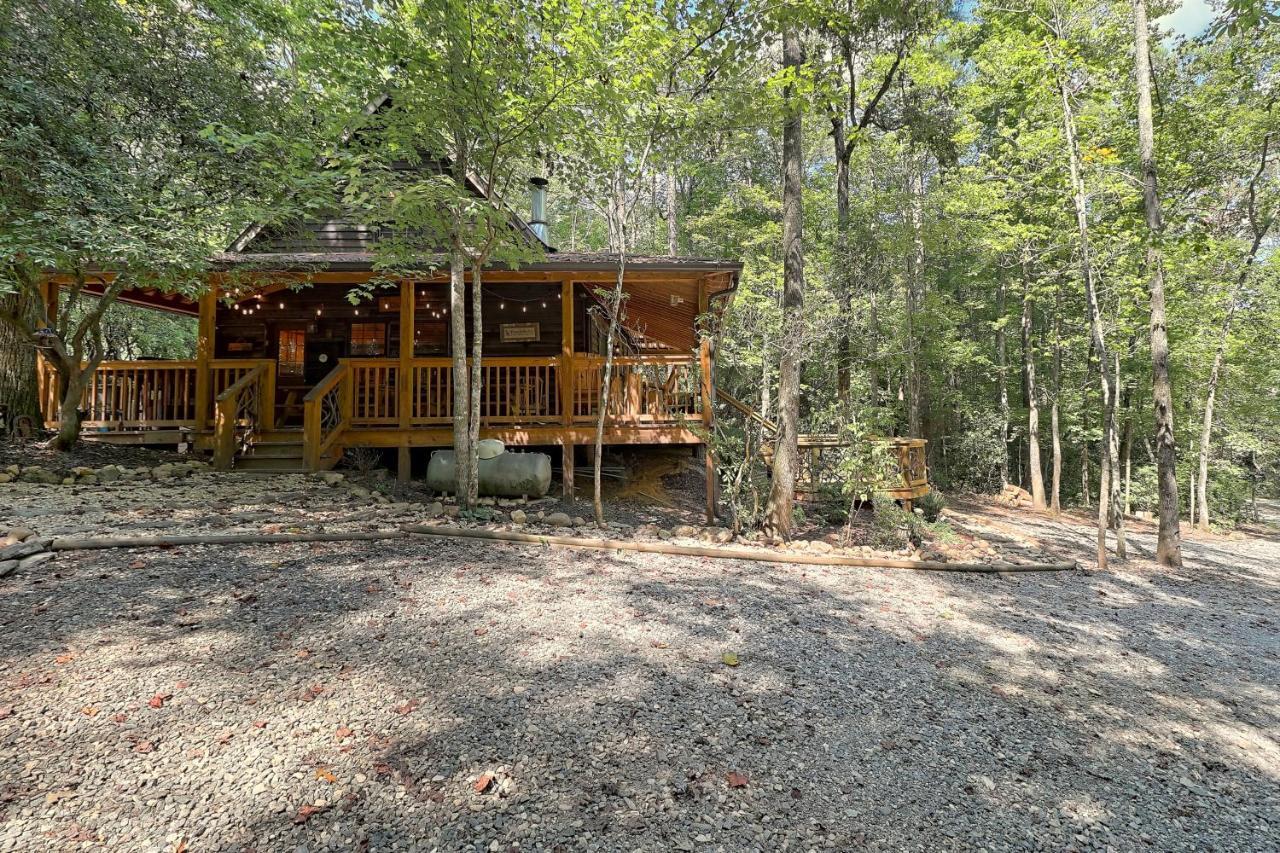 Cozy Bear * Sautee Nacoochee