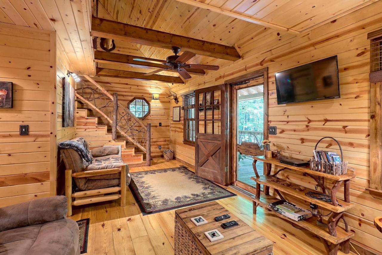 Cozy Bear * Sautee Nacoochee